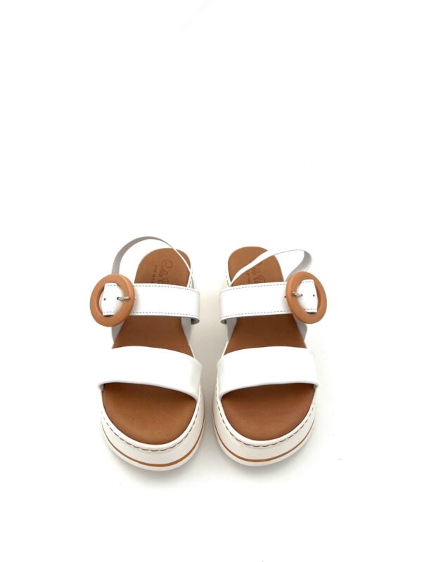 CARLO PERA 5730 - Image 3