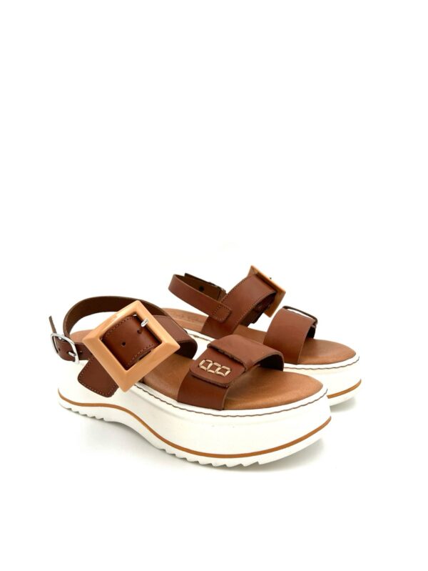 CARLO PERA 5861 - Image 3