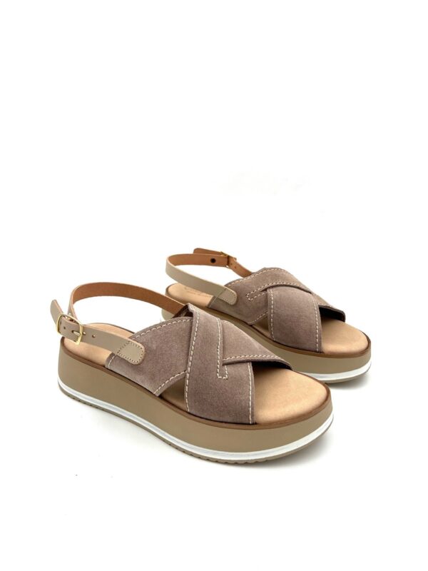 CARLO PERA 5811 - Image 4