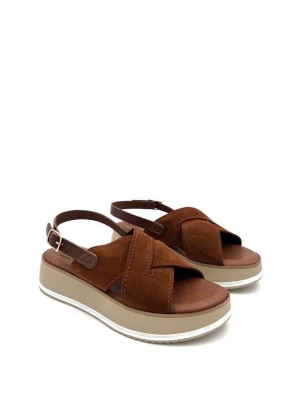 CARLO PERA 5811 - Image 4
