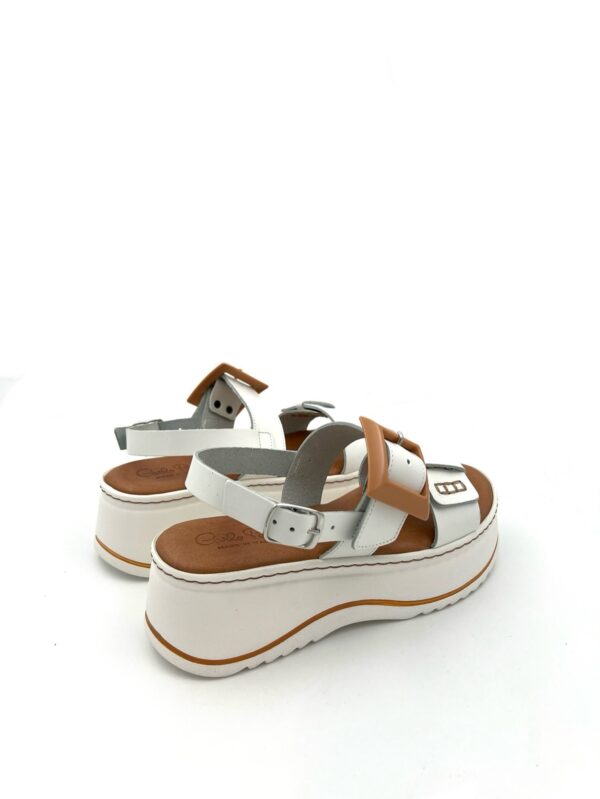 CARLO PERA 5861 - Image 2